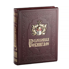 Родословная книга Гербовая с литым дворянским гербом
